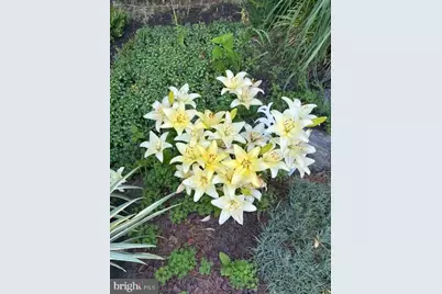 1014 Shadowstone Drive, Lancaster, PA 17603 - Photo 50