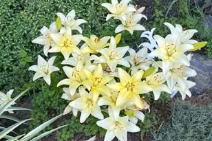 1014 Shadowstone Dr, Lancaster, PA 17603 - Photo 50