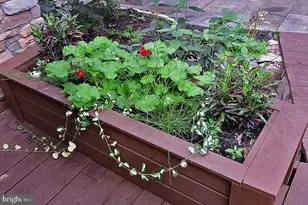 225 Black Rd, Quarryville, PA 17566 - Photo 92