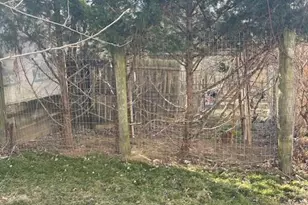 3610 Main St, Conestoga, PA 17516 - Photo 34