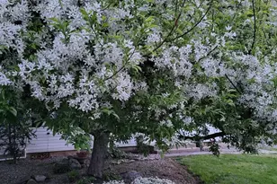 255 Elizabeth St, Landisville, PA 17538 - Photo 42