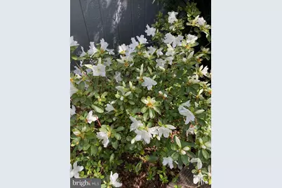 139 S Duke Street, Lancaster, PA 17602 - Photo 38