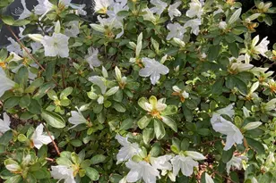 139 S Duke St, Lancaster, PA 17602 - Photo 38