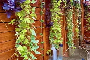 110 W Orange St, Lancaster, PA 17603 - Photo 52