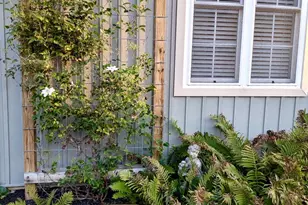 37 N Gay St, Marietta, PA 17547 - Photo 56