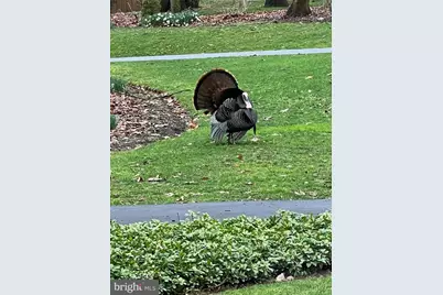 121 Angela Drive, New Holland, PA 17557 - Photo 72