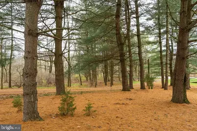 587 Chestnut Hill Road, Denver, PA 17517 - Photo 40