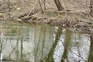 77 Paradise Ln, Ronks, PA 17572 - Photo 30