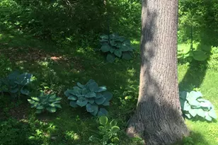 149 Douts Hill Rd, Holtwood, PA 17532 - Photo 62