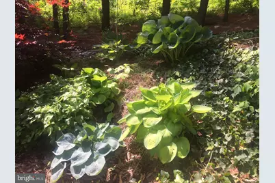 149 Douts Hill Road, Holtwood, PA 17532 - Photo 64