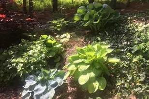 149 Douts Hill Rd, Holtwood, PA 17532 - Photo 64