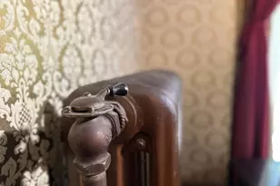 911 E King St, Lancaster, PA 17602 - Photo 42