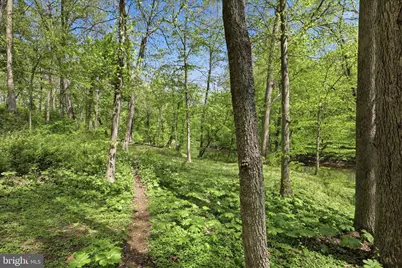 259 Ironstone Ridge Road, Lancaster, PA 17603 - Photo 104