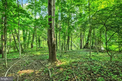 249 Letort Road, Millersville, PA 17551 - Photo 32