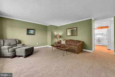 920 Rife Run Road, Manheim, PA 17545 - Photo 12