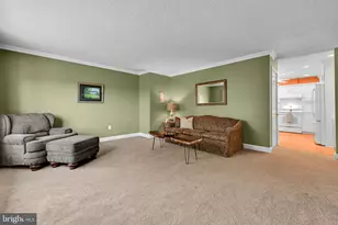 920 Rife Run Rd, Manheim, PA 17545 - Photo 12