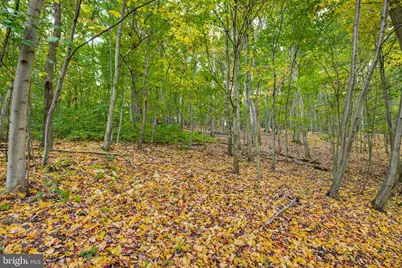 58 Buck Run Road, Conestoga, PA 17516 - Photo 2
