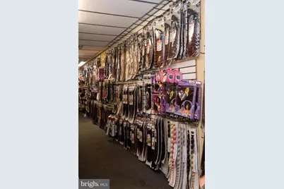 917 W Hamilton Street, Allentown, PA 18101 - Photo 4