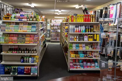 917 W Hamilton Street, Allentown, PA 18101 - Photo 30