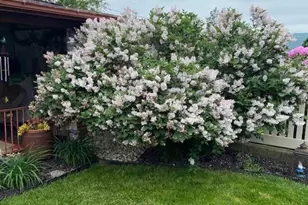 356 First St, Slatington, PA 18080 - Photo 50