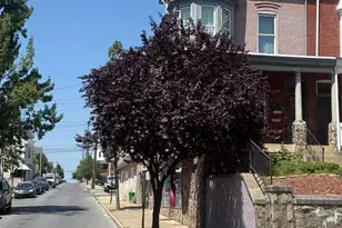 1225 W Walnut St, Allentown, PA 18102 - Photo 2