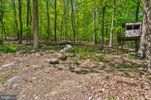 1620 Bobalew Trail, Allentown, PA 18103 - Photo 34