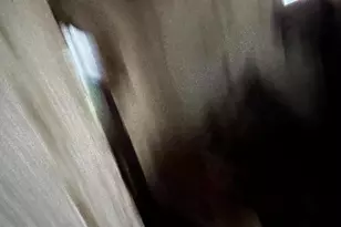 4361 Wolfs Crossing Rd, Orefield, PA 18069 - Photo 48