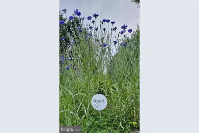 1560 Pinewind Drive, Alburtis, PA 18011 - Photo 52