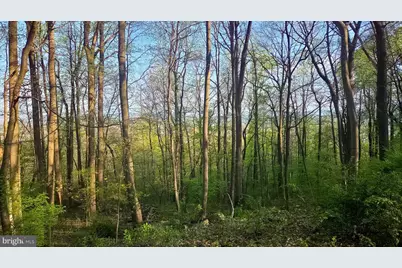 4825 S Mountain Drive, Emmaus, PA 18049 - Photo 8