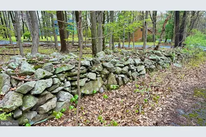 4825 S Mountain Drive, Emmaus, PA 18049 - Photo 6