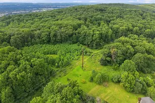 3408 Oak Hill Rd, Emmaus, PA 18049 - Photo 46