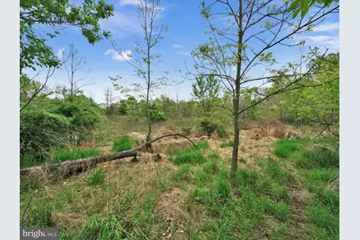 Lot #49 Ss Shepherd Street, Jonestown, PA 17038 - Photo 16