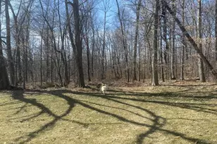 965 N College St, Myerstown, PA 17067 - Photo 92