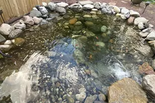 965 N College St, Myerstown, PA 17067 - Photo 60