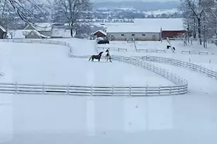 965 N College St, Myerstown, PA 17067 - Photo 94