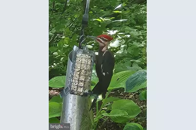 409 Granite Street, Lebanon, PA 17042 - Photo 44