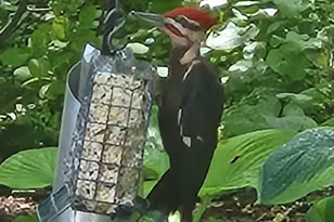 409 Granite St, Lebanon, PA 17042 - Photo 44