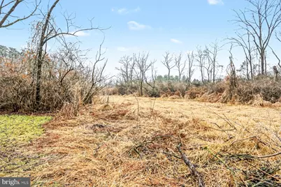 115 Buck Run L-0207 Run, Lebanon, PA 17046 - Photo 54