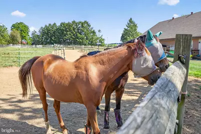 844 S Spruce Street, Annville, PA 17003 - Photo 102