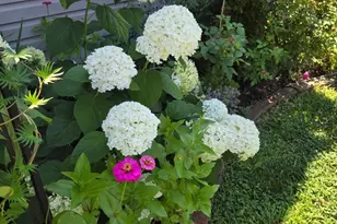 403 E Chestnut St, Cleona, PA 17042 - Photo 44