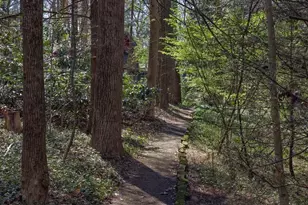 210 Harvard Ave, Mount Gretna, PA 17064 - Photo 92