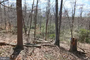 0 S Forge Rd, Palmyra, PA 17078 - Photo 1