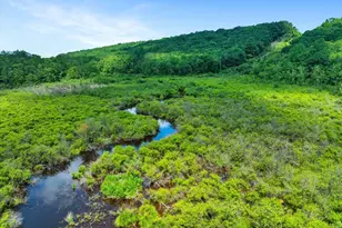 368 State Route 437, White Haven, PA 18661 - Photo 96