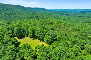 368 State Route 437, White Haven, PA 18661 - Photo 90