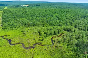 368 State Route 437, White Haven, PA 18661 - Photo 104