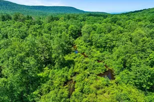 368 State Route 437, White Haven, PA 18661 - Photo 100