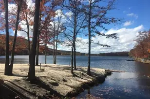 113 Silver Cloud Ln, Hazleton, PA 18202 - Photo 56