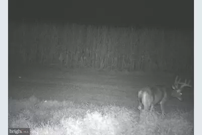 228 Huntington Creek, Sweet Valley, PA 18656 - Photo 88