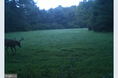 228 Huntington Creek, Sweet Valley, PA 18656 - Photo 100