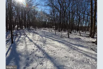 00 Hemlock Road, Bear Creek Township, PA 18702 - Photo 14